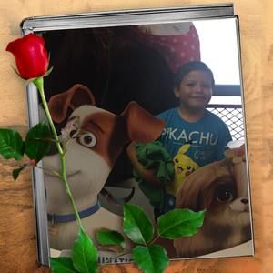 Meet your Posher, Lupe